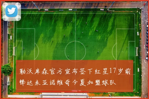 勒沃库森官方宣布签下红星17岁前锋达米亚诺维奇今夏加盟球队
